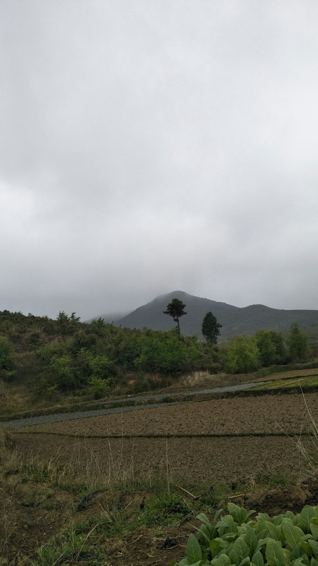 古峰镇天气预报更新通知