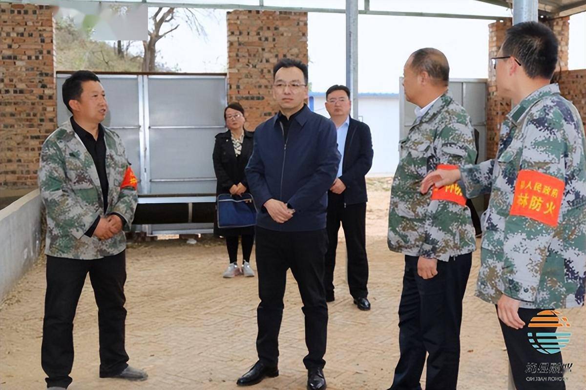山西省长治市沁县杨安乡项目最新进展与前景展望