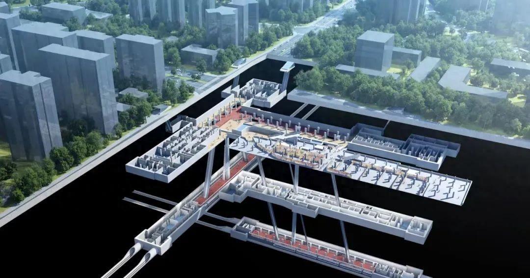驿城区医疗保障局启动新项目，全方位医疗保障体系构建行动