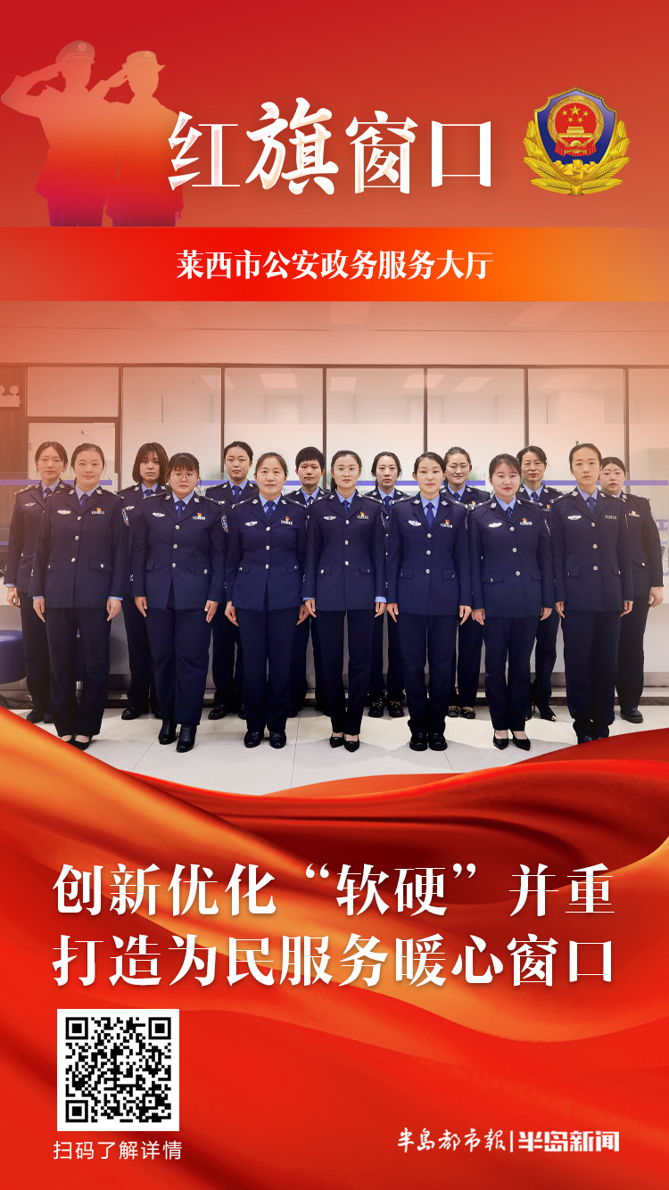 莱西市数据和政务服务局最新发展规划深度探讨