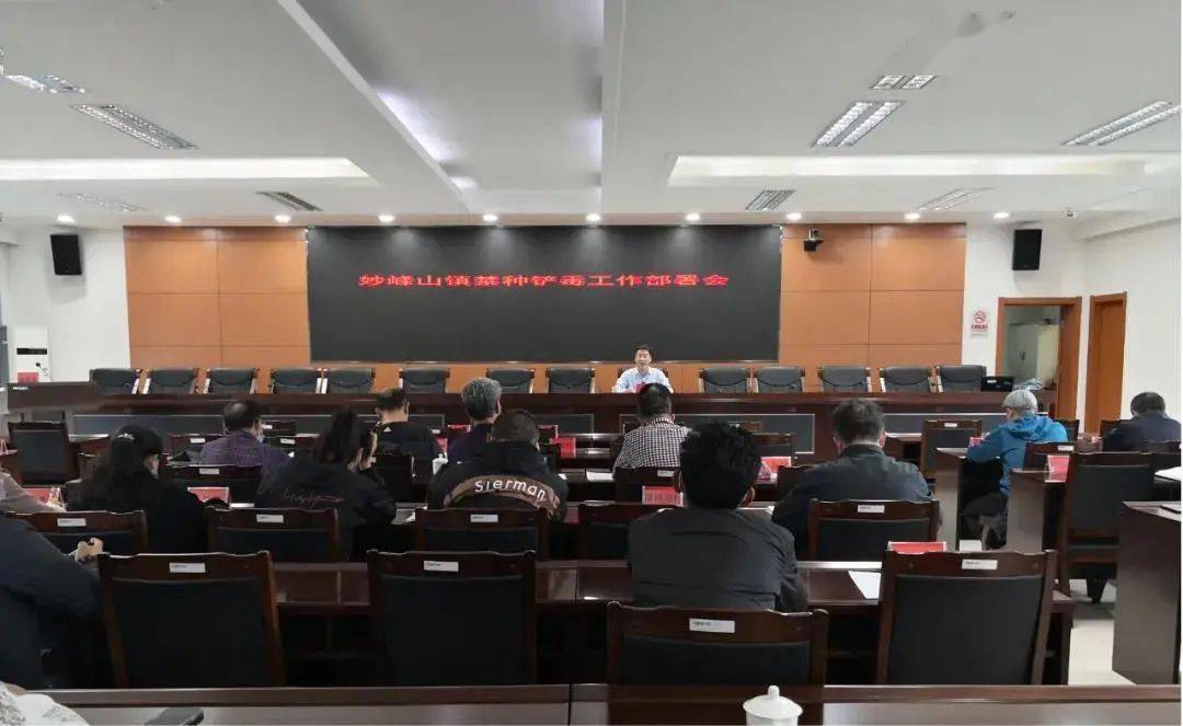 道里区特殊教育事业单位最新动态及进展概述