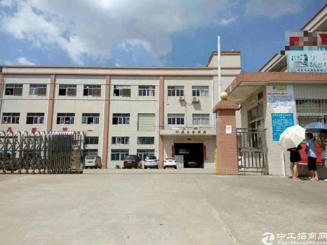 均禾街道最新交通动态报道