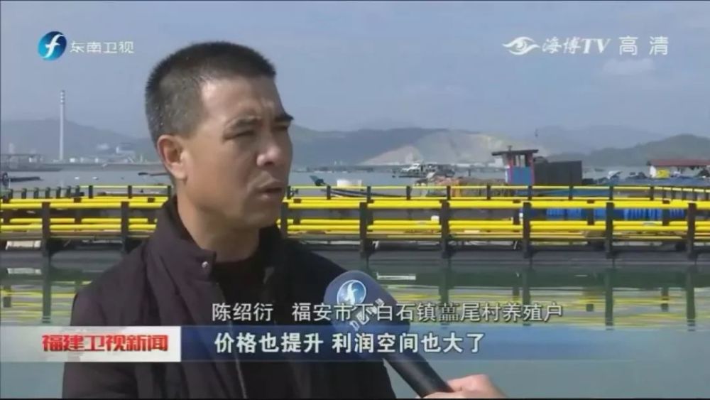 下白石镇新闻速递，最新报道汇总