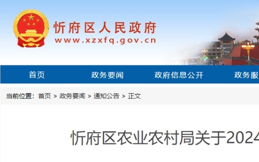 忻府区医疗保障局人事任命动态更新