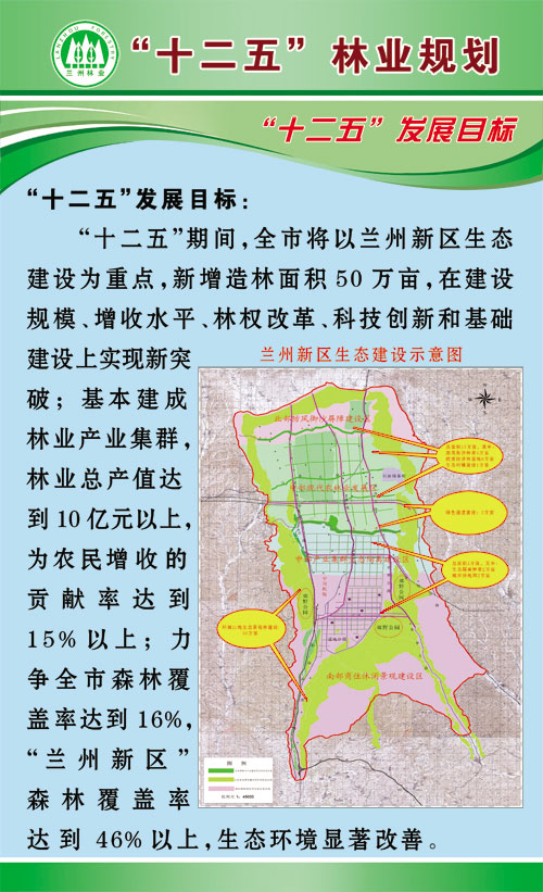 丰乐林场迈向绿色可持续发展未来的最新发展规划