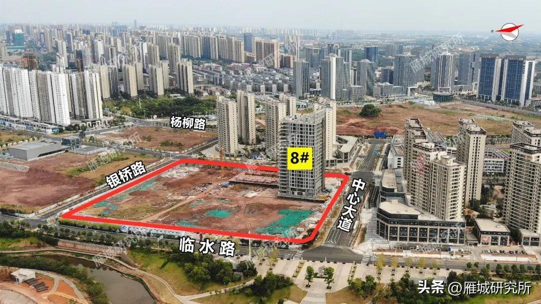 引航计划 第3页